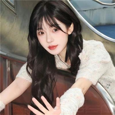 对战美洲狮