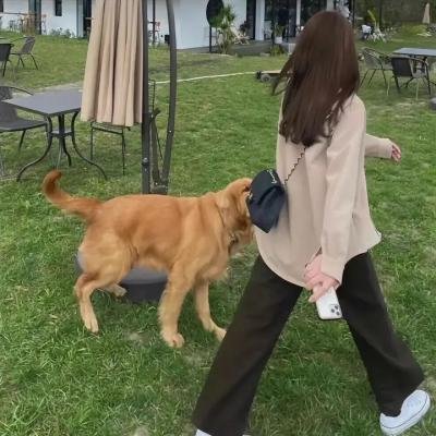 捣乱的三网客